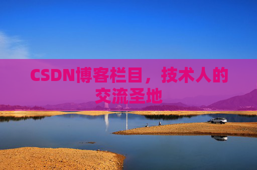 CSDN博客栏目，技术人的交流圣地